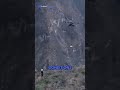 DJI FLYCART 100