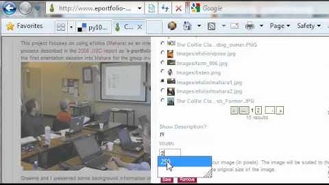 ePortfolio (Mahara) Creating Views
