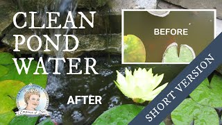 How to Clean Murky Pond Water without Chemicals | Short Version by Melissa - Empress of Dirt 8,287 views 7 years ago 35 seconds