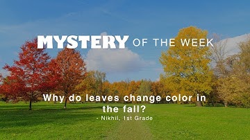Why do leaves change color in the fall?