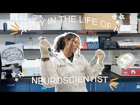 A Day In The Life Of A Neuroscientist | VLOG