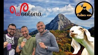 : Kodzha Kaya 2025 -       