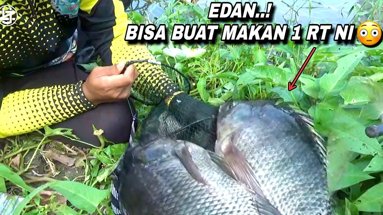 Mimpi apa  semalam mancing jackpotnya naik sebesar ini