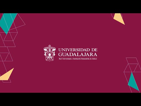 Rueda de prensa