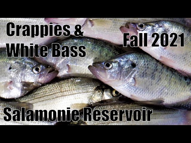Indiana Kayak Fishing: Salamonie Crappie & White Bass 10/22/21 class=