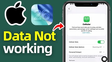 How To Fix Mobile data not working on iPhone! (2025)