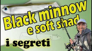Vi svelo i segreti del Black Minnow e dei Soft Shad: perchè catturano più pesci a spinning? screenshot 3