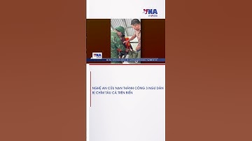 Nghệ An cứu nạn thành công 3 ngư dân bị chìm tàu cá trên biển - VNAMedia