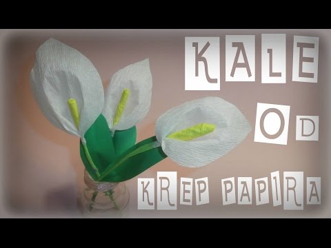 Kako napraviti kalu od krep papira / Cvet od papira za 8 mart