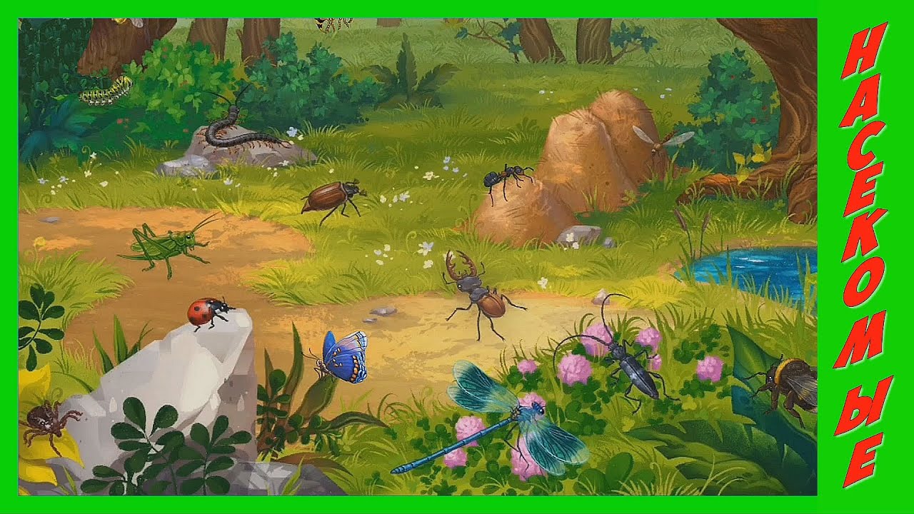 НАСЕКОМЫЕ 🐞 Учим насекомых / Развивающий мультик для малышей про ...