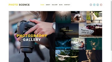 PhotoScence - Responsive Photography Website Template