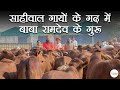 बाबा रामदेव जी के गुरु आचार्य प्रद्युम्न साहीवाल गायें देखने नूरमहल पधारे| Sahiwal Cow| KGSG |