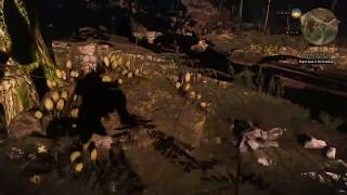 The Witcher 3 FPS bug