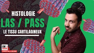 Le TISSU CARTILAGINEUX : 🦴 Chondroblaste, Chondrocyte, cartilage...