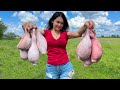 The Taste Of Fried Bull Testicles Is Incomparable The Best Recipe For Men 