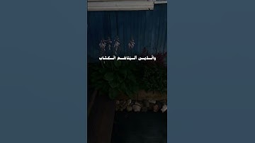 ﴿ أَفَغَيْرَ اللَّهِ أَبْتَغِي حَكَمًا وَهُوَ الَّذِى أَنزَلَ إِلَيْكُمُ الْكِتَابَ﴾#سورة_الانعام