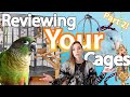 Reviewing Your Cages! Part 2 | Flock Talks
