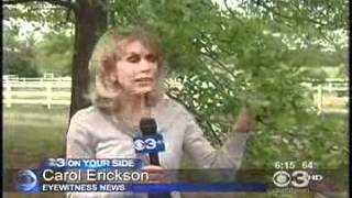 Dr Dvorin Interview with Carol Erickson CBS3.asf