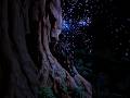 The fabled lands #fantasycore #aivisuals #viral #fantasy #darfantasy #crazy #go90k