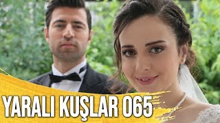 Yaralı Kuşlar 65. Bölüm