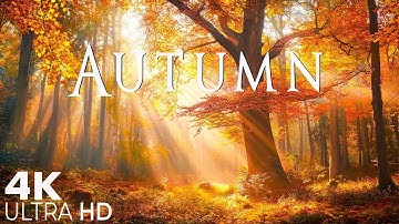 4K Cozy Autumn Scenes & Beautiful Relaxing Piano Music 🍂 Music For Deep Relaxation, Stress Relief