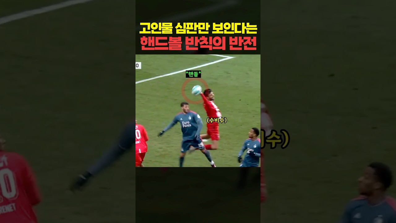 고인물 심판에게만 보인 핸드볼 반칙의 반전
