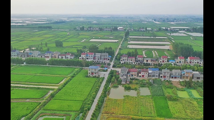 湖北仙桃江漢平原美麗的田園風光 Beautiful Rice Farms in China Hubei Province Xiantao Region - 天天要聞