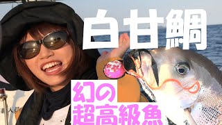 みっぴが釣った幻の魚！【超高級魚】タイラバでまさかの・・・（キロ○万円）