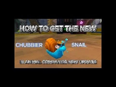 How to get the new chubbier snail and cosmetic in animal company #animalcompany #vr #tutorial