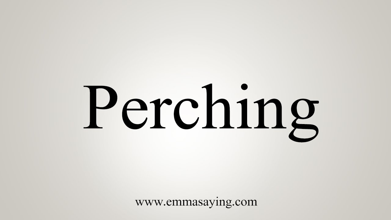 Perchhing How To Say Perching - YouTube