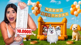 Le Hago A Mi Perrito Una Fiesta De 10.000