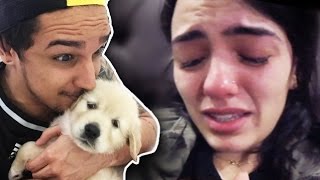 Fiz Surpresa Pra Namorada E Quase Fiquei Solteiro