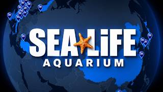 Sea Life Globe Expansion: From 1 Location to 40+