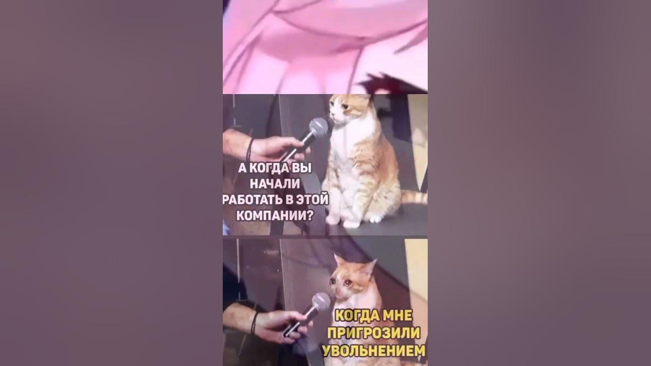 мемя - YouTube