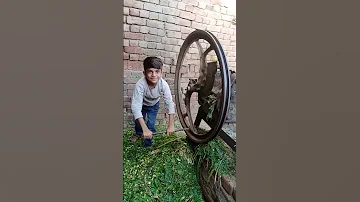 Jeka Tola Vrga No Brola Vrga Short Viral 