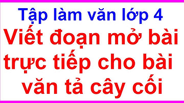 Viết Đoạn Mở Bài Trực Tiếp Cho Bài Văn Tả Cây Cối | Tập Làm Văn Lớp 4