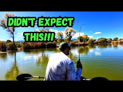 Bass Fishing Dead Horse Lake AZ… Didn't Expect This!!!