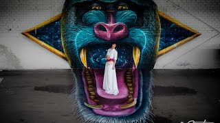 Street Art Monkey Mural Illusion By Bombye