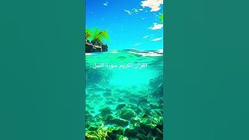 القارئ الحاج عامر الكاظمي #المصحف #اكسبلور #تلاوات_رائعة #حالات_واتس ##