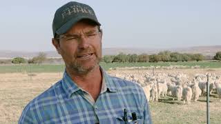 Multimin Puts A Stop To Stillborn Kids And Lambs