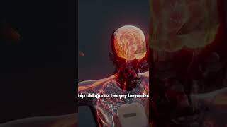 Motivasyon Sakso Şiselgelişim Şimokulu Pot