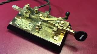 Bunnell Gold Bug