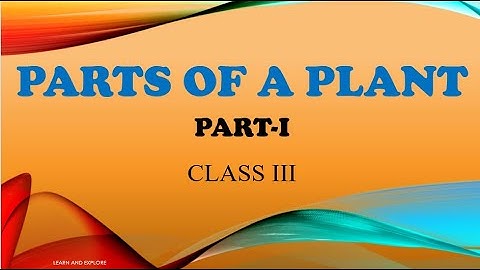 #CLASS3 #SCIENCE #PARTSOFAPLANTS PART-1 #CBSE #ICSE #NCERT