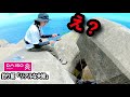 【穴釣り】エサ代0円。 そして700円、ダイソー穴釣りロッドの真実 テトラで使うと⚪︎⚪︎と言う夫、しかし、妻は・・・・