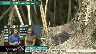 Springwatch Extra