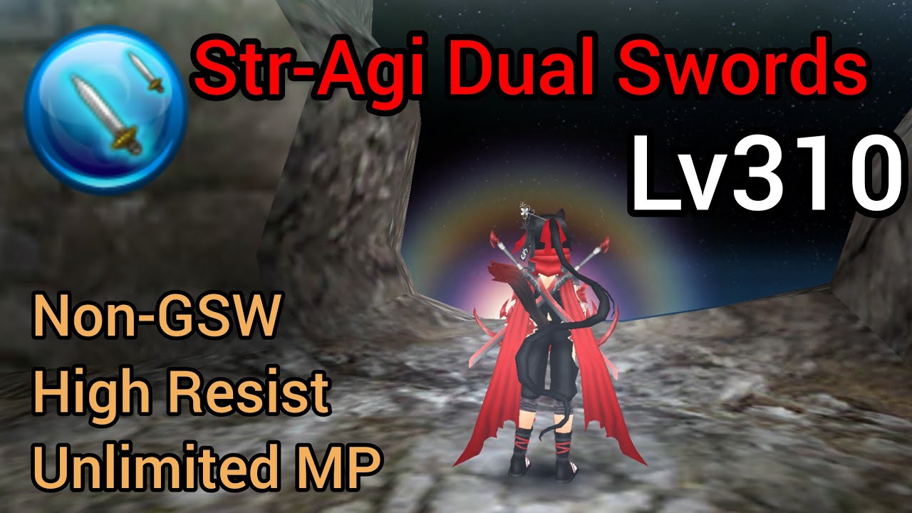 Str-Agi Dual Swords Lv310 Build | Toram Online