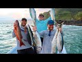 Panga Fishing a Remote Coast in Panamá for Dinner [CATCH & COOK]