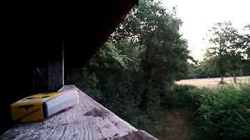 Bat dawn survey of a maternity colony in a large hide with an Anabat Scout