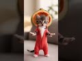 Cat dance #catdance #dogdance #petdance #animaldance #trend #meow #funnydance