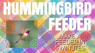 DIY HUMMINGBIRD FEEDER in 5 Minutes  Quick & Easy Feeder  How to make with household stuff  birds